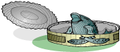 Tuna League Logo
